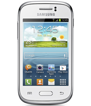  Samsung Galaxy Young NFC S6310N 